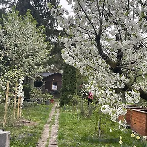 Fussball-hochburg! Gartenparadies Fuer Campen/zelten Luxury tent Stuttgart